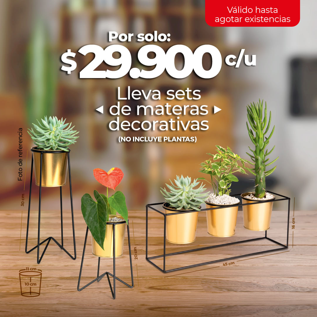 VER MÁS